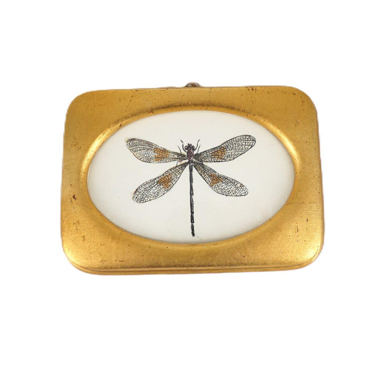 Quadretto ZYGOPTERA  N