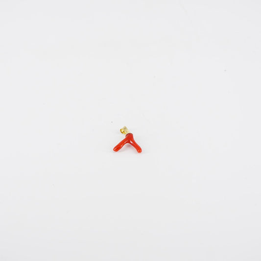 Charm CORAL BRANCH small