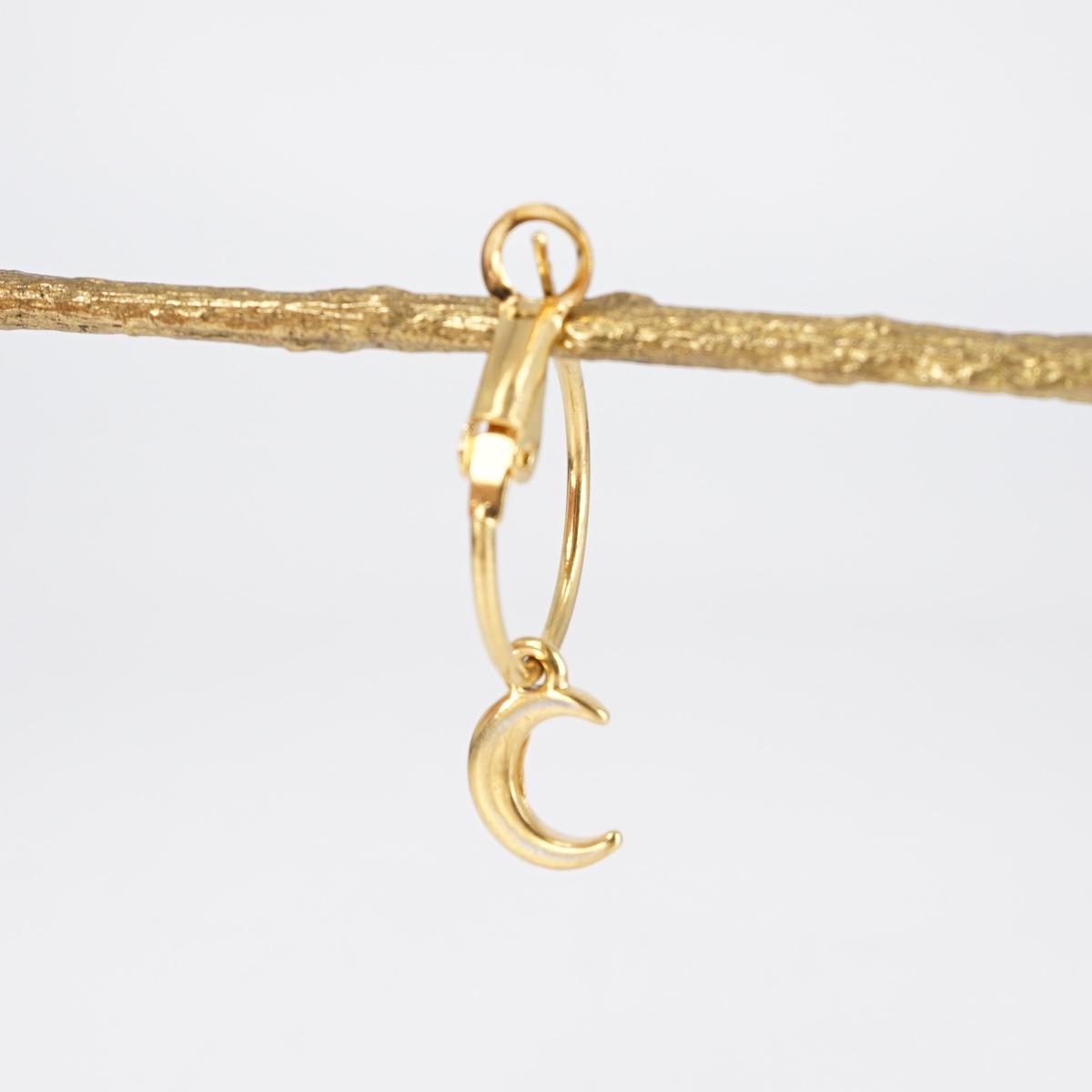 Hoop and MOON earring