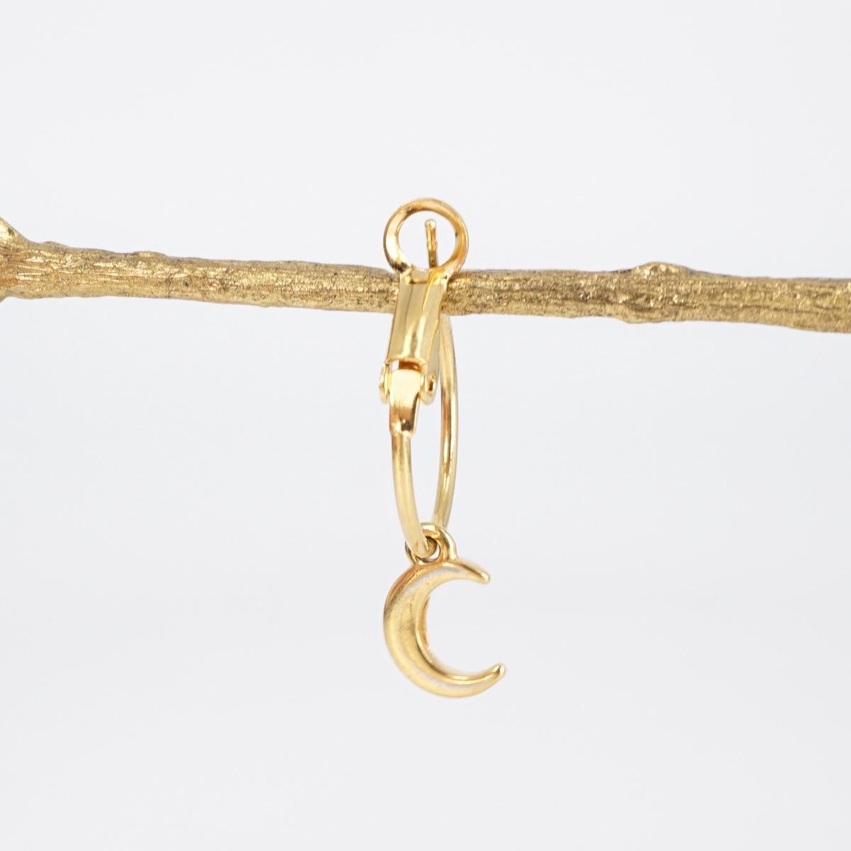 Hoop and MOON earring
