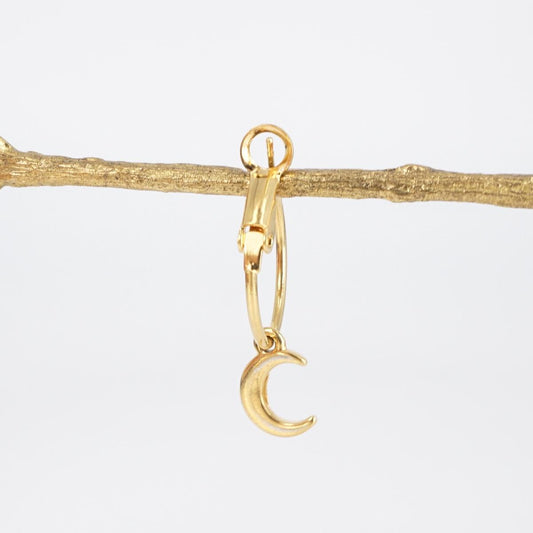 Hoop and MOON earring