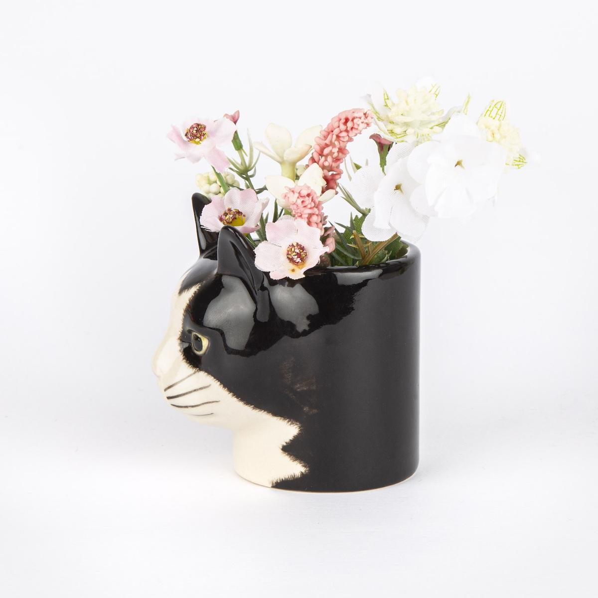 TAZZINA GATTO BARNEY TAZZINA GATTO BARNEY QUAIL 