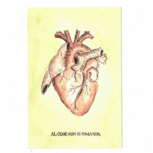 Postcard sayings THE HEART IS NOT COMMANDED anatomical