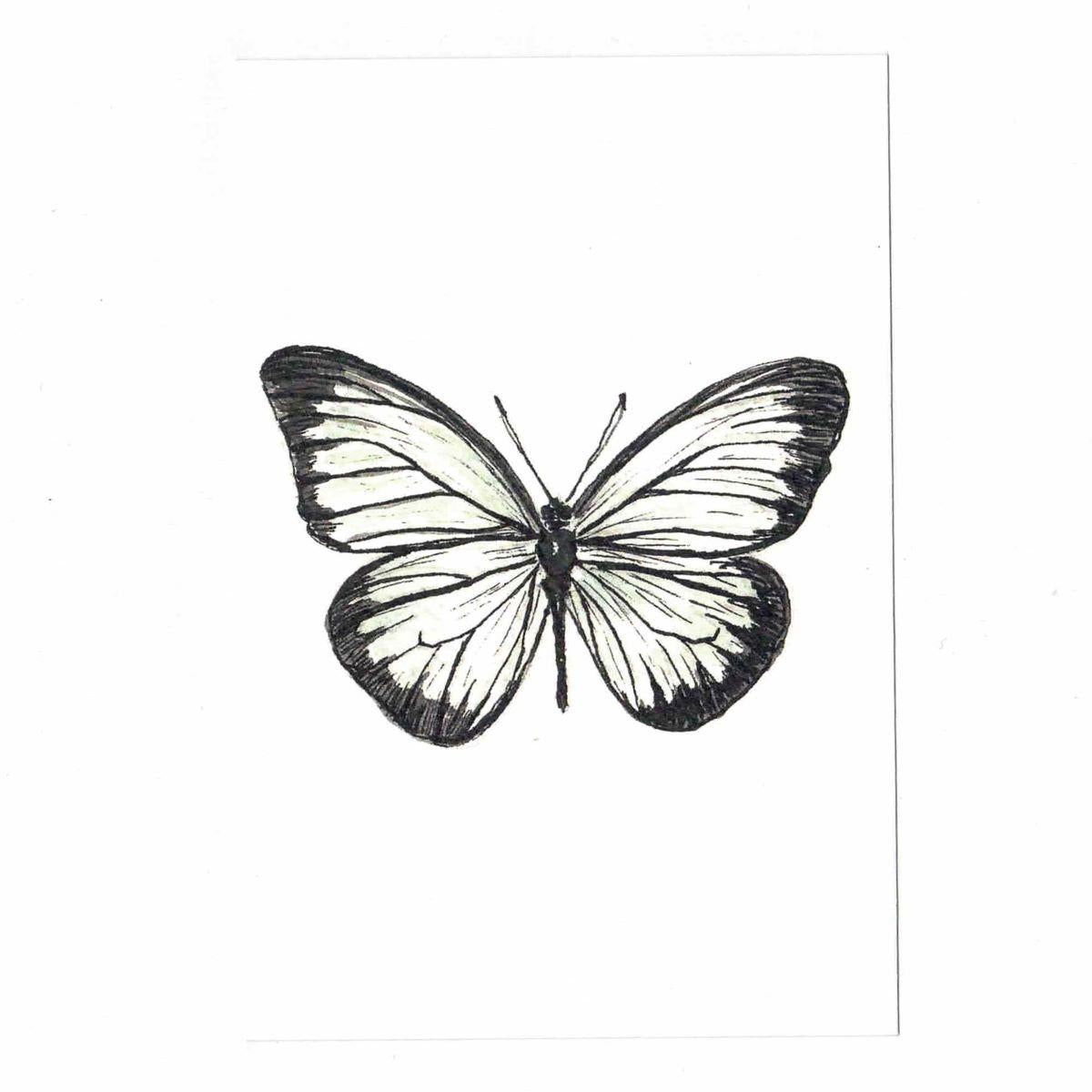 CATERINA BERTA CARTOLINAPRIONERIS PHILONOME