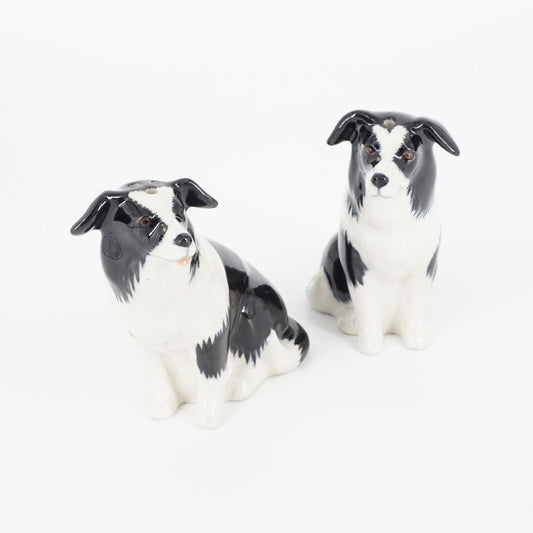 Sale e pepe BORDER COLLIE