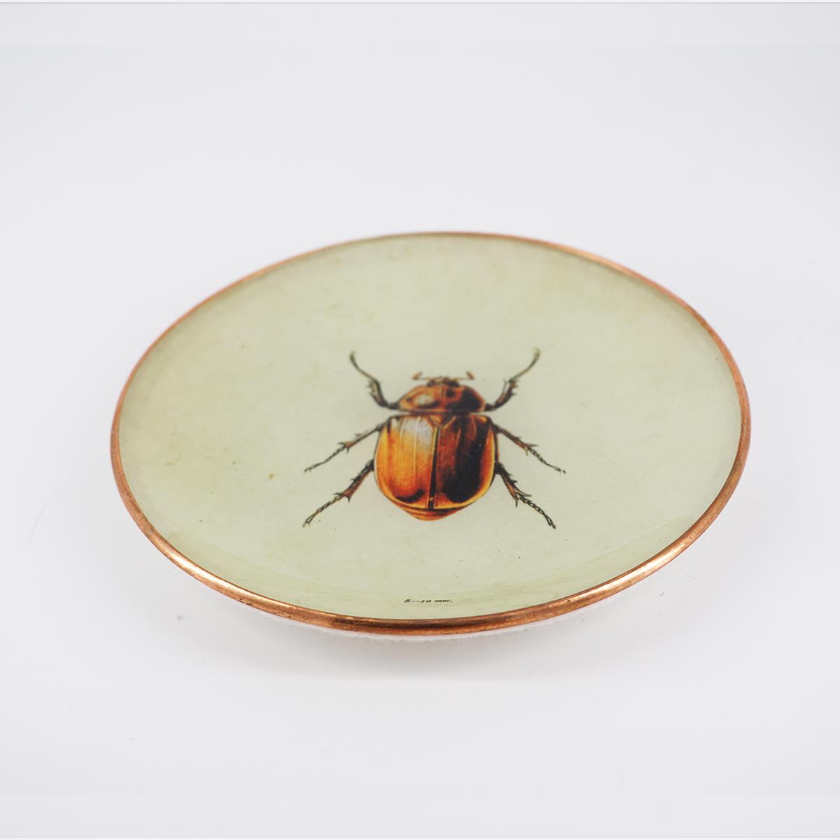 Piattino SCARAFAGGIO