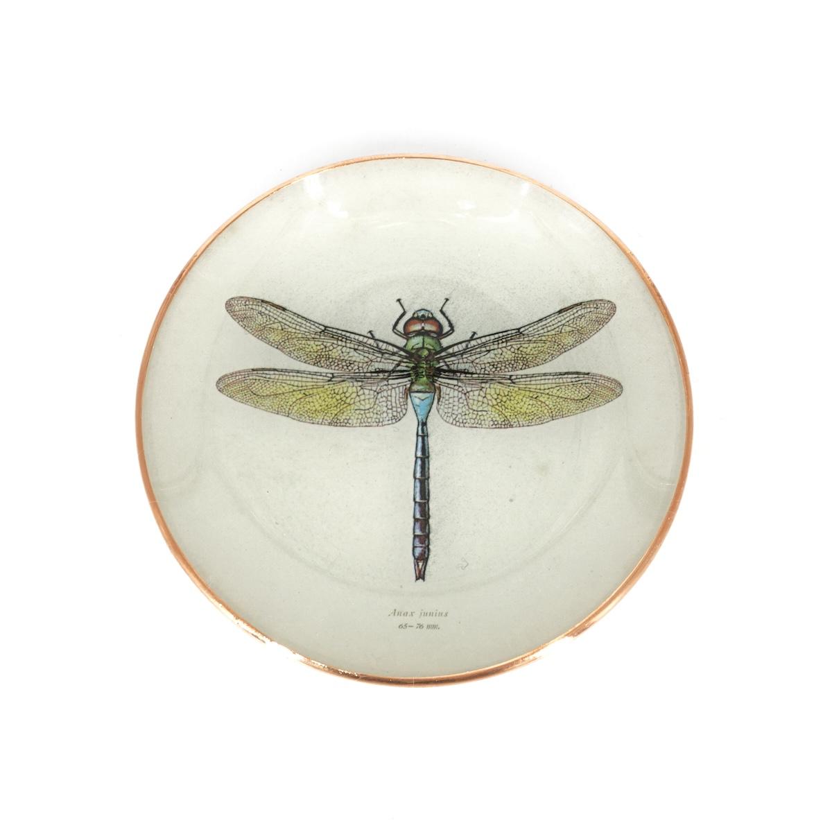 Piattino LIBELLULA LIBELLULA  TANJUR 