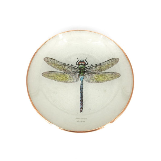 Piattino LIBELLULA LIBELLULA  TANJUR 
