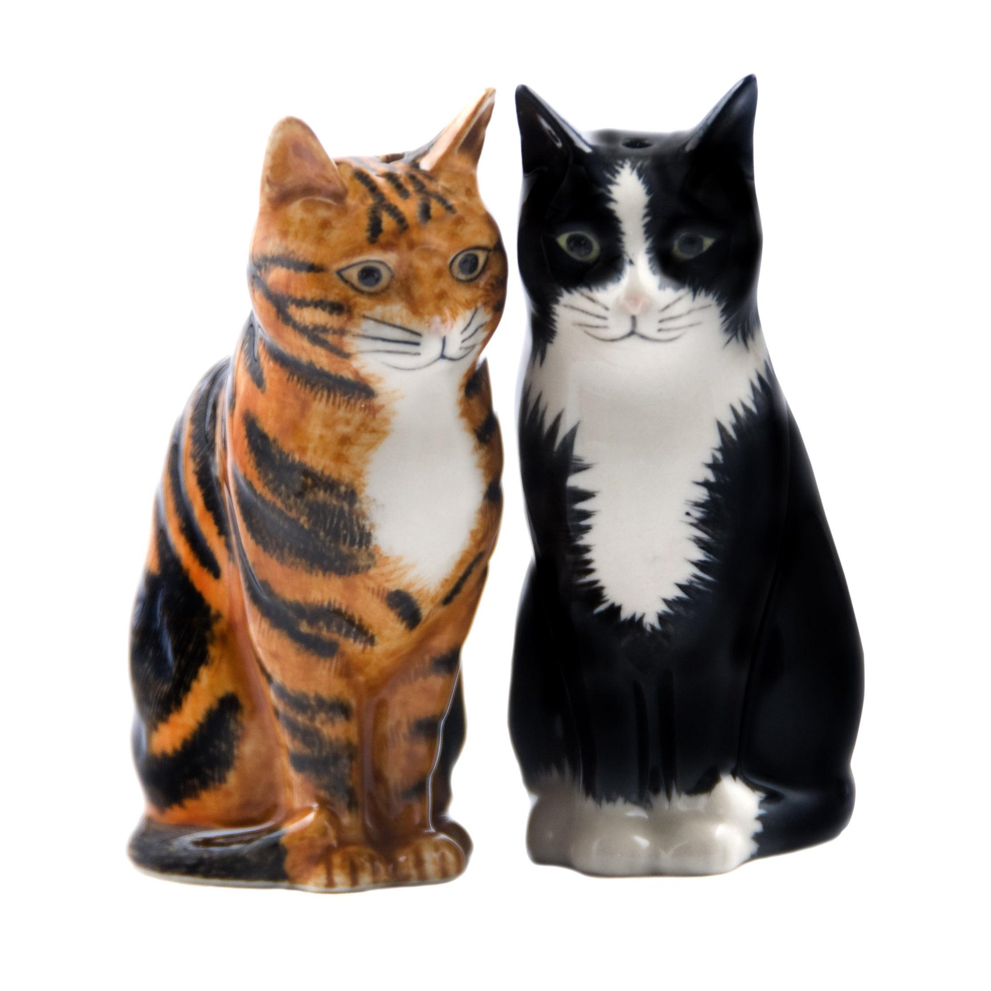 Sale e pepe GATTI arancio/bianco e nero SALE E PEPE GATTI REUBEN AND SPARKY  QUAIL 
