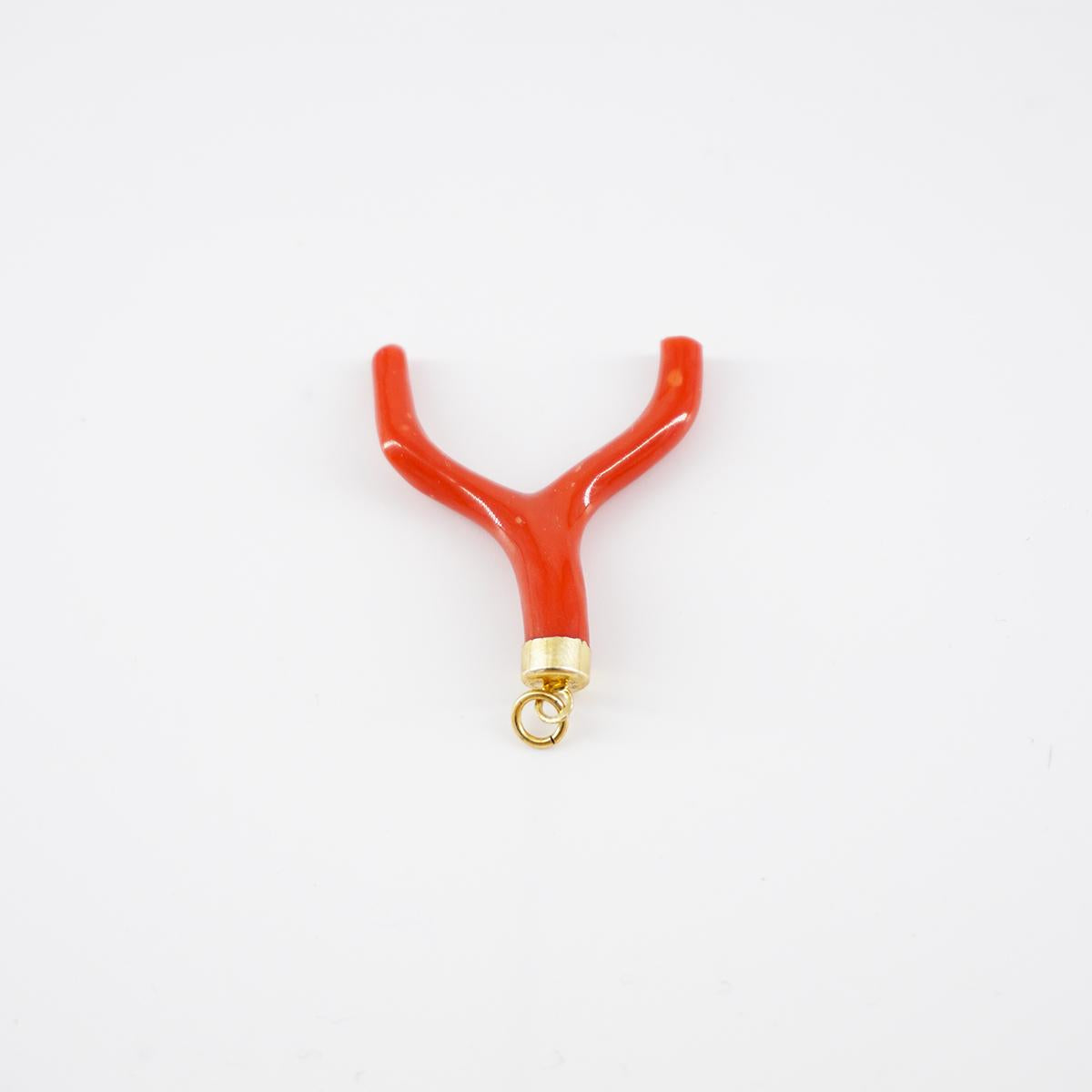 Charm CORAL BRANCH big