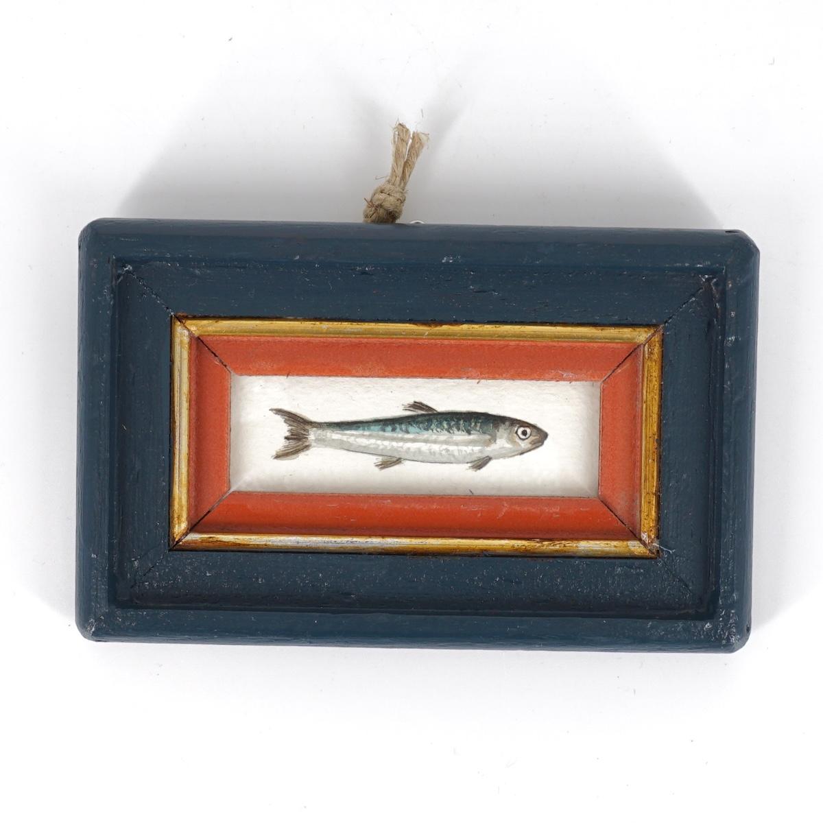 Quadretto SARDINA SARDINA CORNICE BLU E ROSSA  CATERINA BERTA 