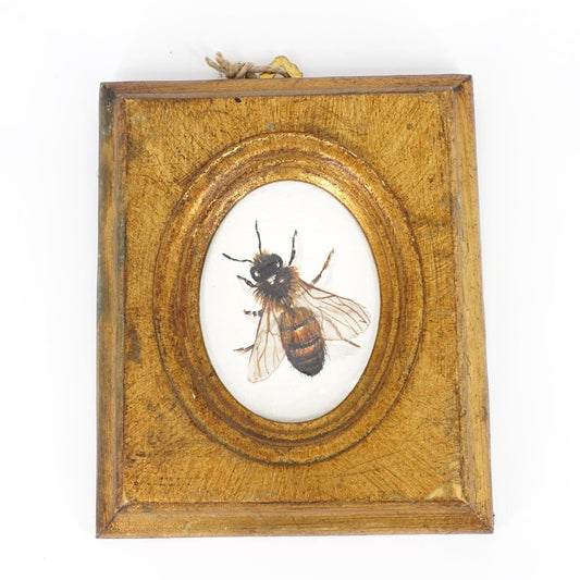 Quadretto APIS APIS CORNICE ORO  CATERINA BERTA 