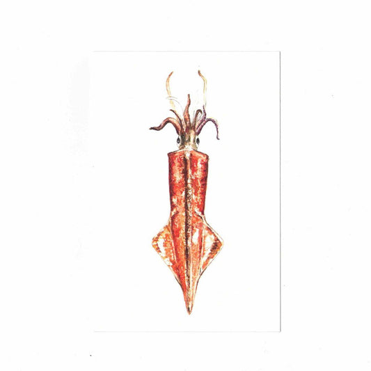 CATERINA BERTA CARTOLINA CON BUSTINALOLIGINIDAE