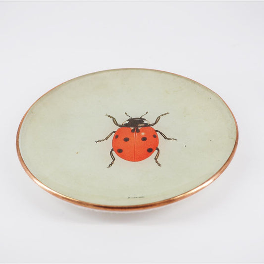 Piattino COCCINELLA