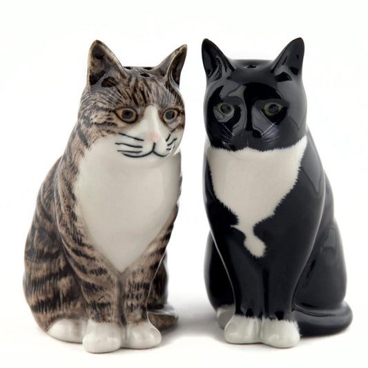 Sale e pepe GATTI bianco nero e tigrato