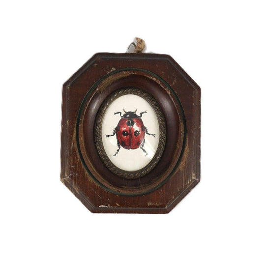 Quadretto COCCINELLA cornice