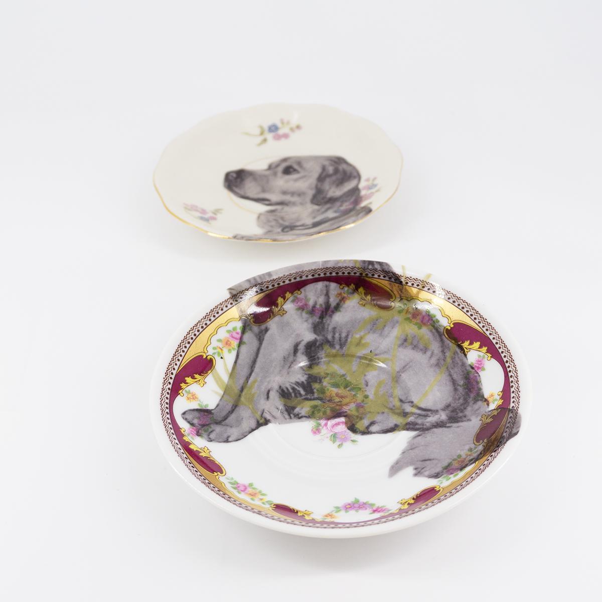 LABRADOR Tea and Coffee Plates Pair