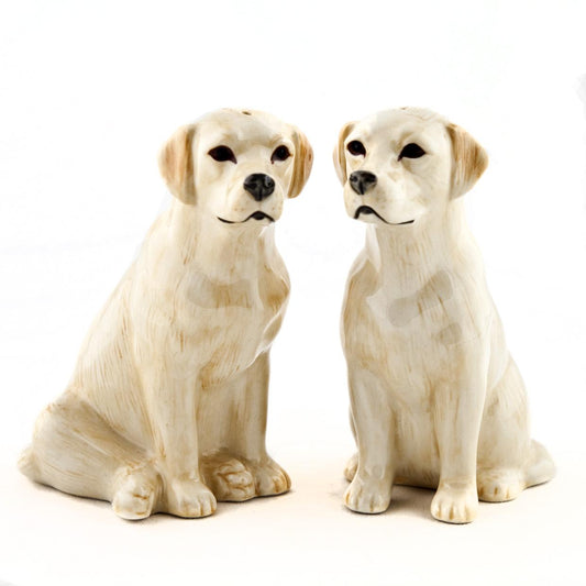 Salt and pepper LABRADOR