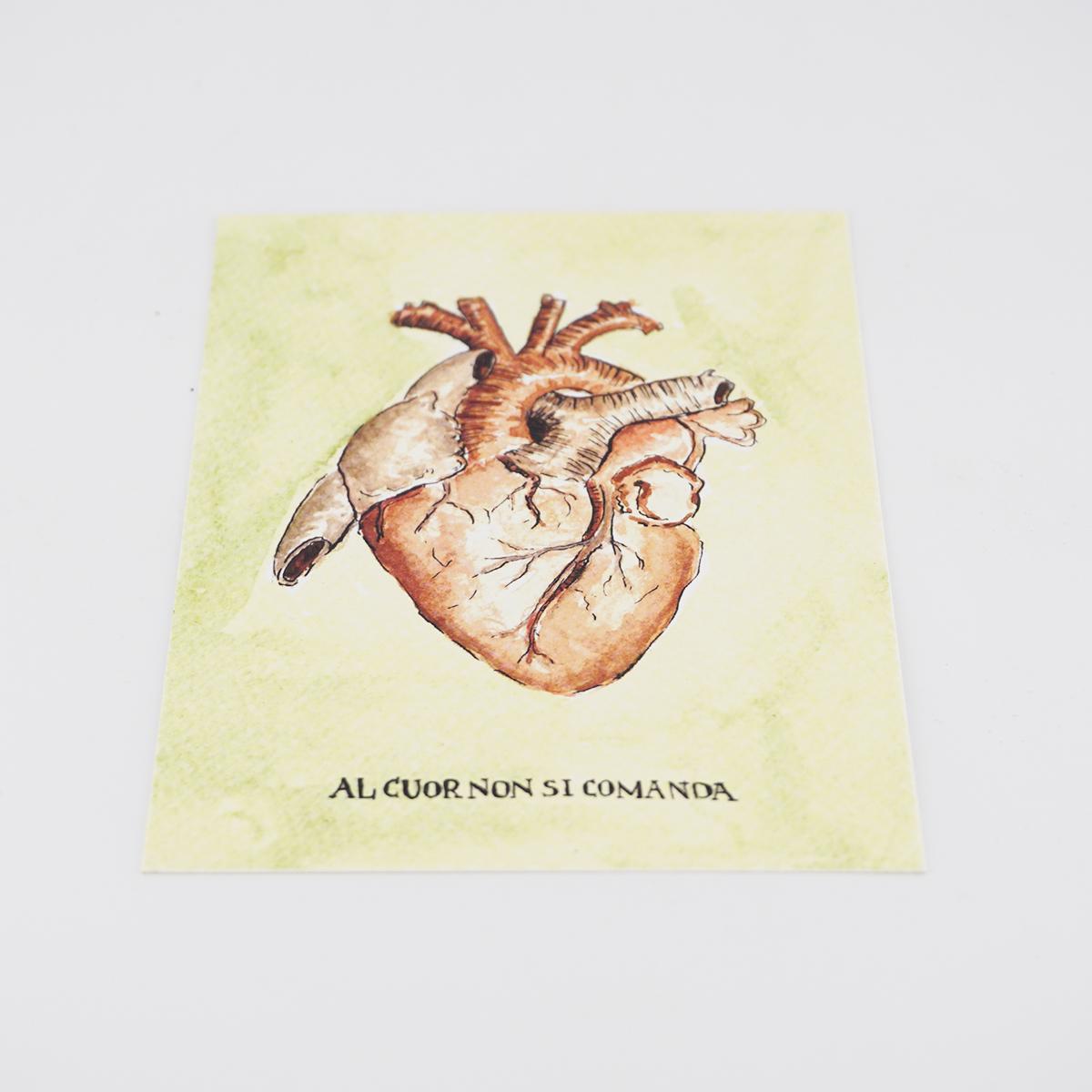 Postcard sayings THE HEART IS NOT COMMANDED anatomical