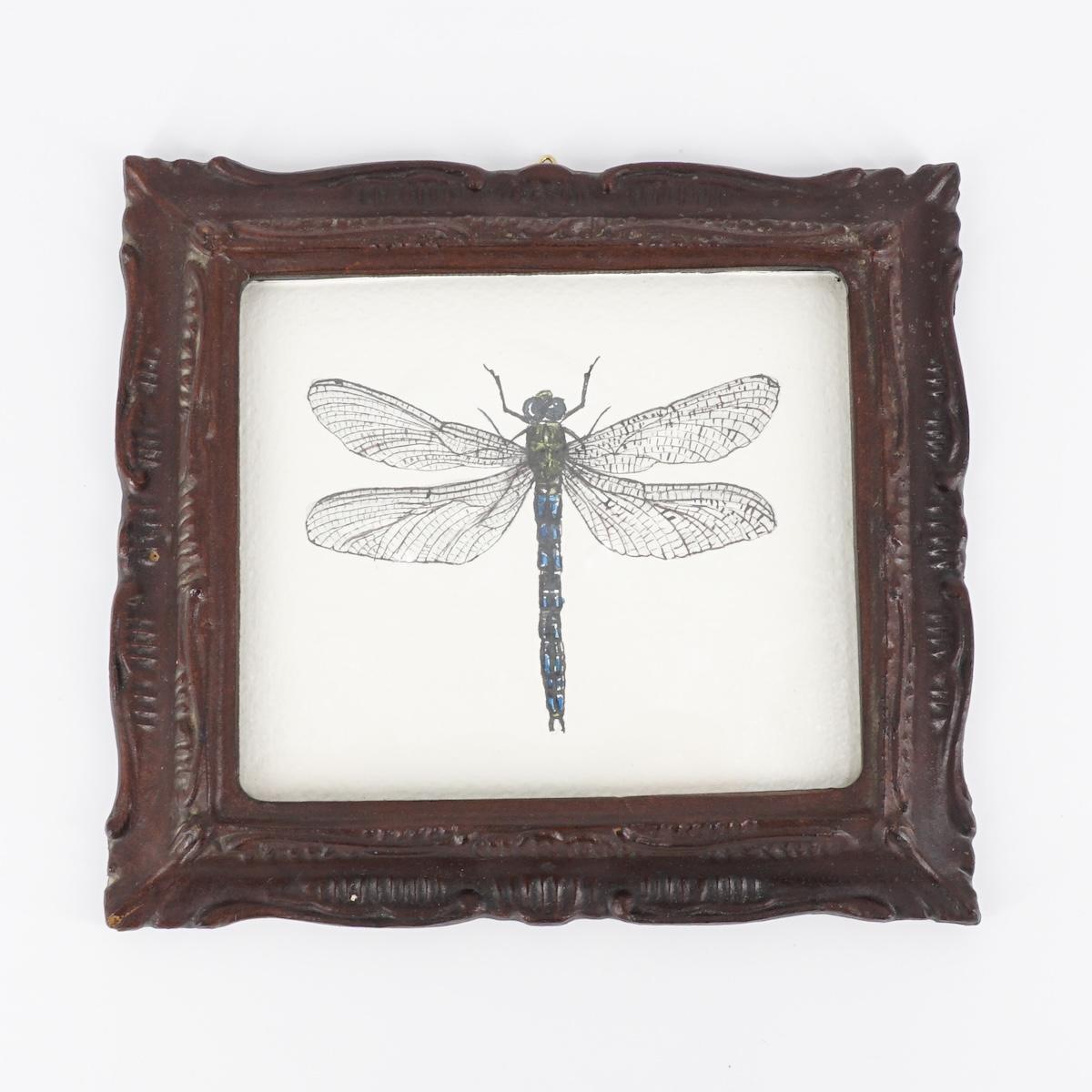 Quadretto ANAX IMPERATOR