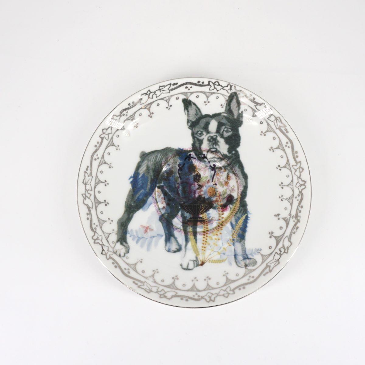 BOLDISH PIATTO TÈBULLDOG FRANCESE