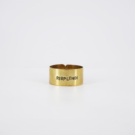 small napkin ring shine