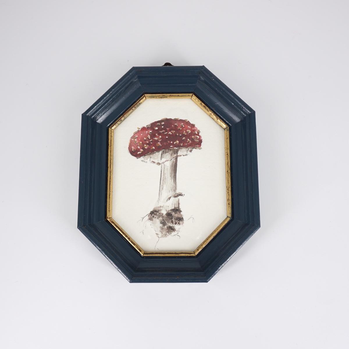 CATERINA BERTA AMANITA MUSCARIA CORNICE BLU