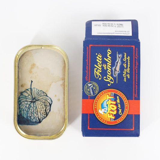 Latta di sgombro ALCHECHENGI LATTA DI SGOMBRO ALCHECHENGI ROSSANA MAGGI 