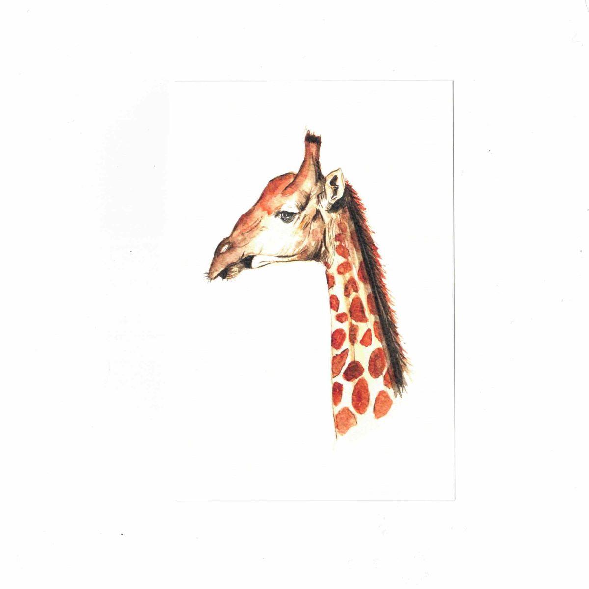 CATERINA BERTA CARTOLINA CON BUSTINAGIRAFFA CAMELOPARDALIS