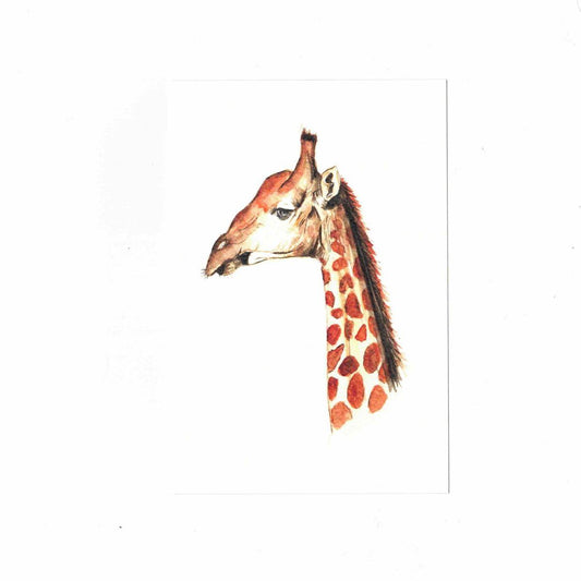 CATERINA BERTA CARTOLINA CON BUSTINAGIRAFFA CAMELOPARDALIS