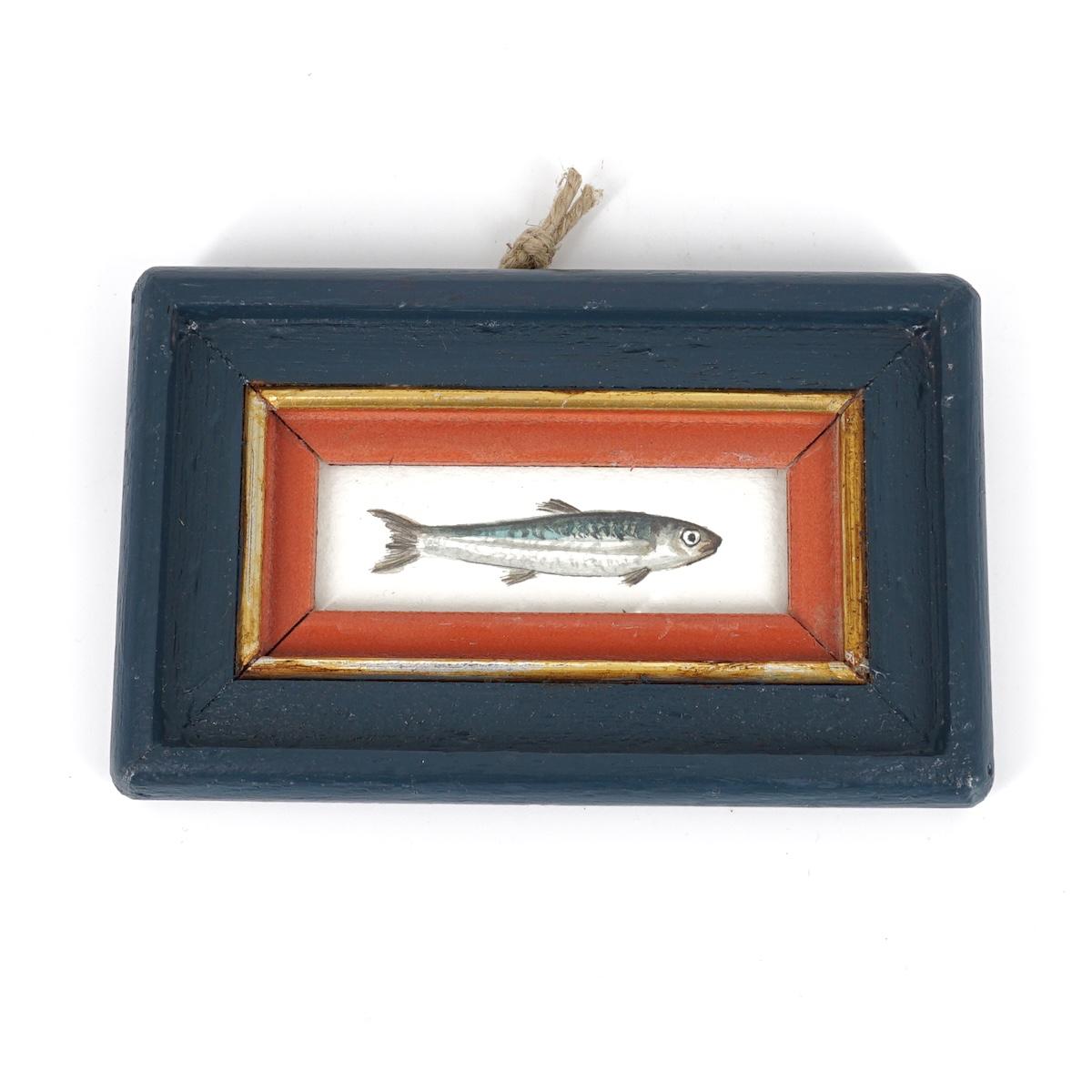 Quadretto SARDINA SARDINA CORNICE BLU E ROSSA  CATERINA BERTA 