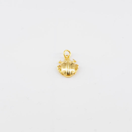 Charm scarabeo
