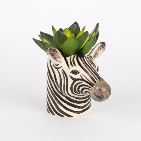 TAZZINA ZEBRA TAZZINA ZEBRA QUAIL 