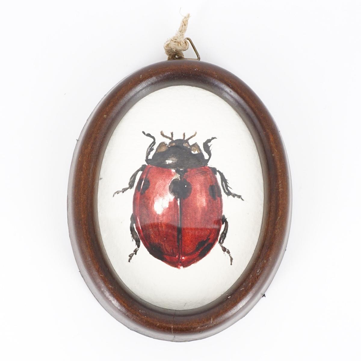 Quadretto COCCINELLA COCCINELLA OVALINO MARRONE  CATERINA BERTA 