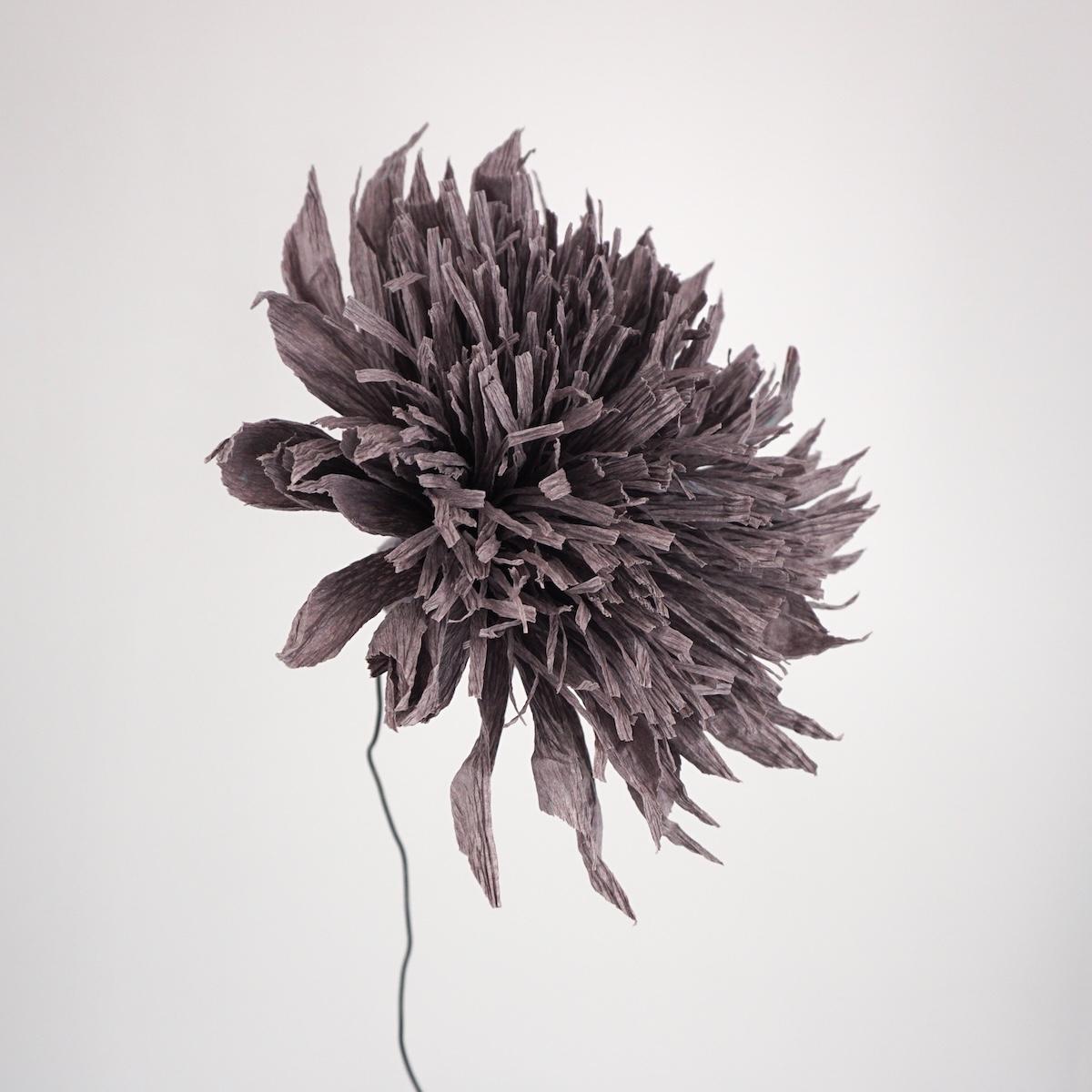 ANDREA MERENDI FIORE DI CARTA NERO
