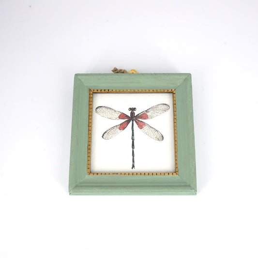 CATERINA BERTA ZYGOPTERA VERDE
