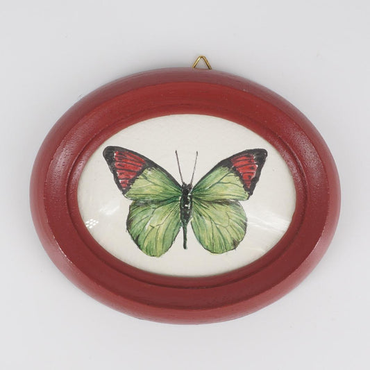 Quadretto HEBOMOIA GLAUCIPPE