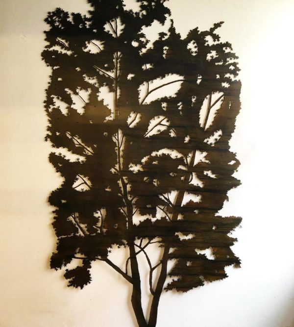 ‘Acero Giapponese’ Iron Tree